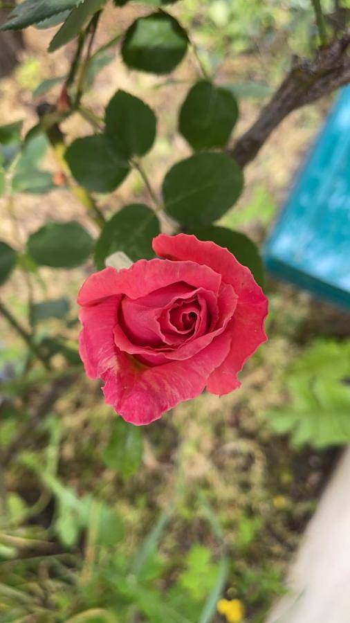 Appartement de vacances pour 3 personnes, avec jardin et vue