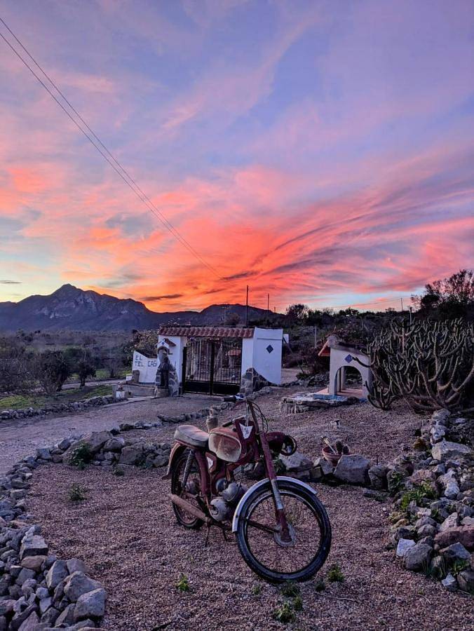 Finca Mamaflo in Lorca, Costa Cálida