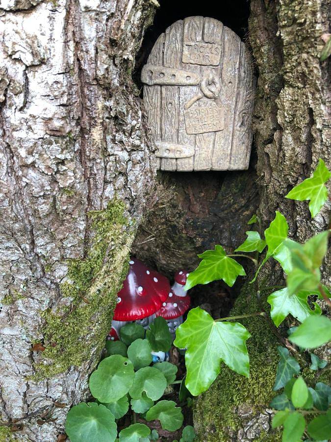 Location de vacances pour 4 personnes, avec terrasse, animaux acceptés à Commana - 2