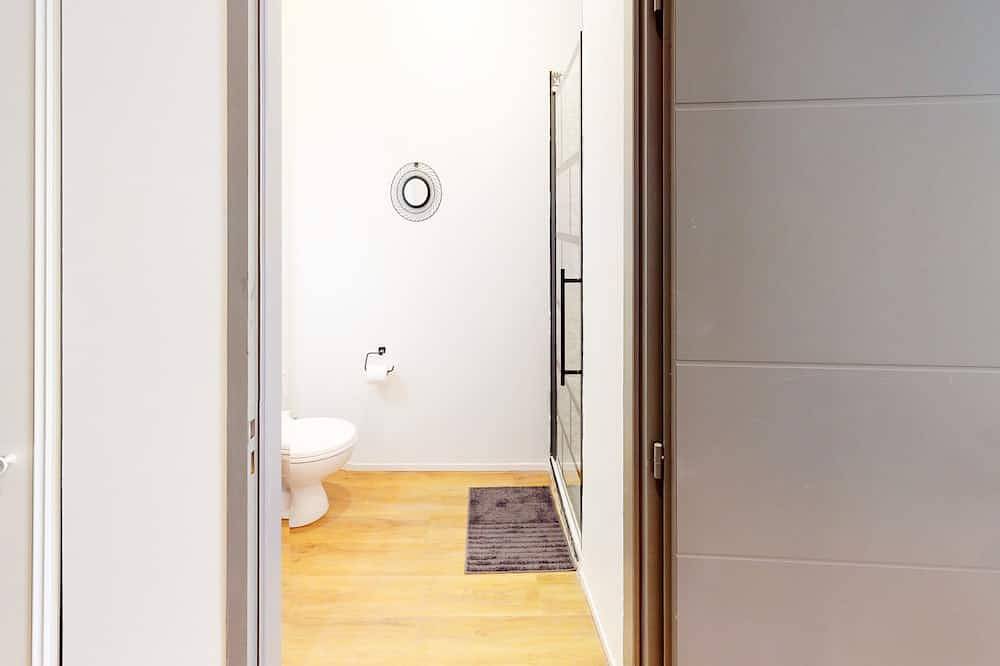 Geheel appartement, Hypercentre Toulouse 3 : furnished and equipped apartment in Capitole (Toulouse), Toulouse