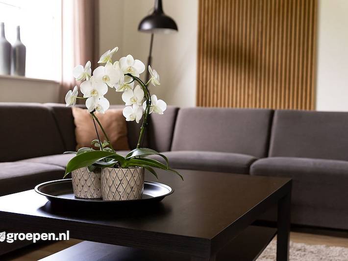 Ferienhaus für 16 Personen, mit Balkon/Terrasse und Terrasse in den Niederlande - 2