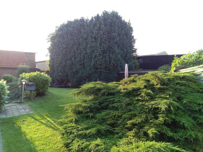 Ferienwohnung für 2 Personen, mit Balkon und Garten, kinderfreundlich in Mittelnkirchen - 3