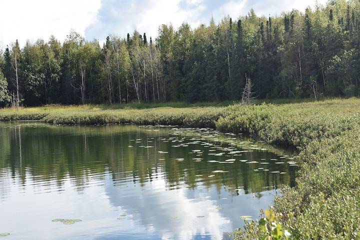 Cabane en bois pour 3 personnes, avec jardin dans Alaska - 3