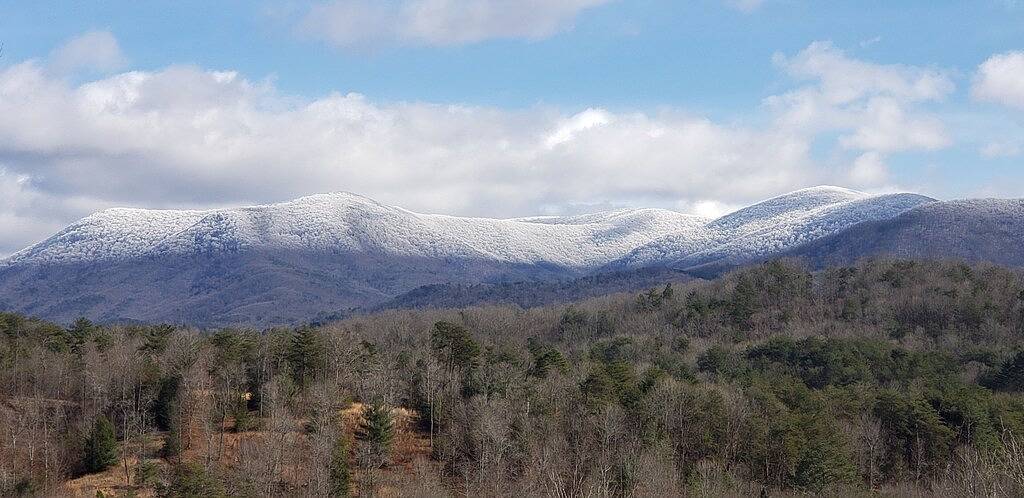 Budget freundlich! Hundefreundlich! 2 Lux Könige, 2 Ba. Blockhaus ! Atemberaubender Ausblick! in Cherry Log, Chattahoochee National Forest