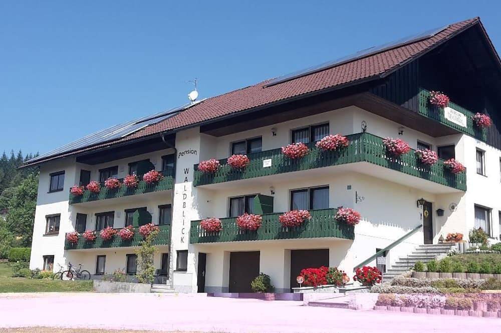 Apartamento inteiro, Apartamento na Floresta da Baviera, com vista para o grande Arber. in Bayerisch Eisenstein, Arberland