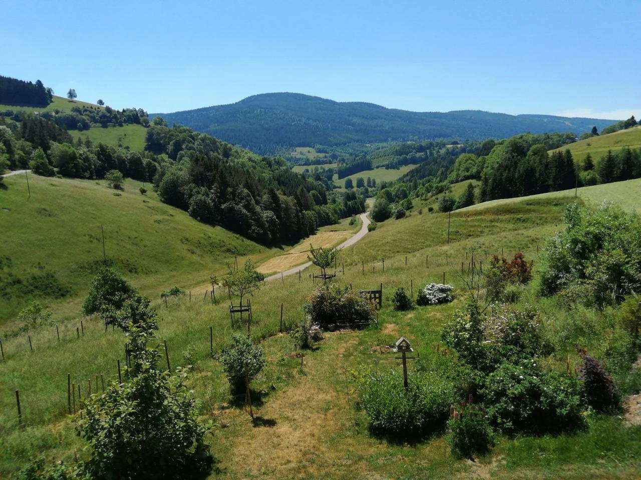 Grand gîte de montagne in Le Bonhomme, Regionaler Naturpark Belchen der Vogesen