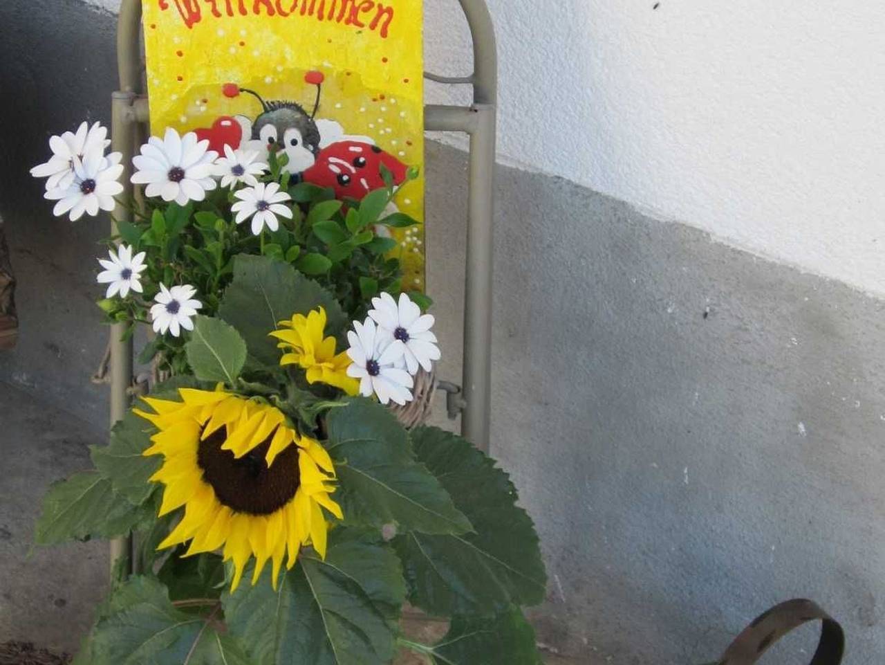 Ganze Ferienwohnung, Haus Hornstein Tamara - Wohnung 2 - 4 Pers. in Nesselwängle, Außerfern