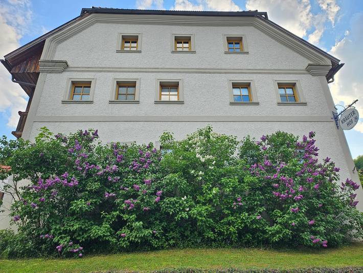 Ganze Wohnung, Kräuterhof - Löwenzahn in Ringelai, Ostbayern