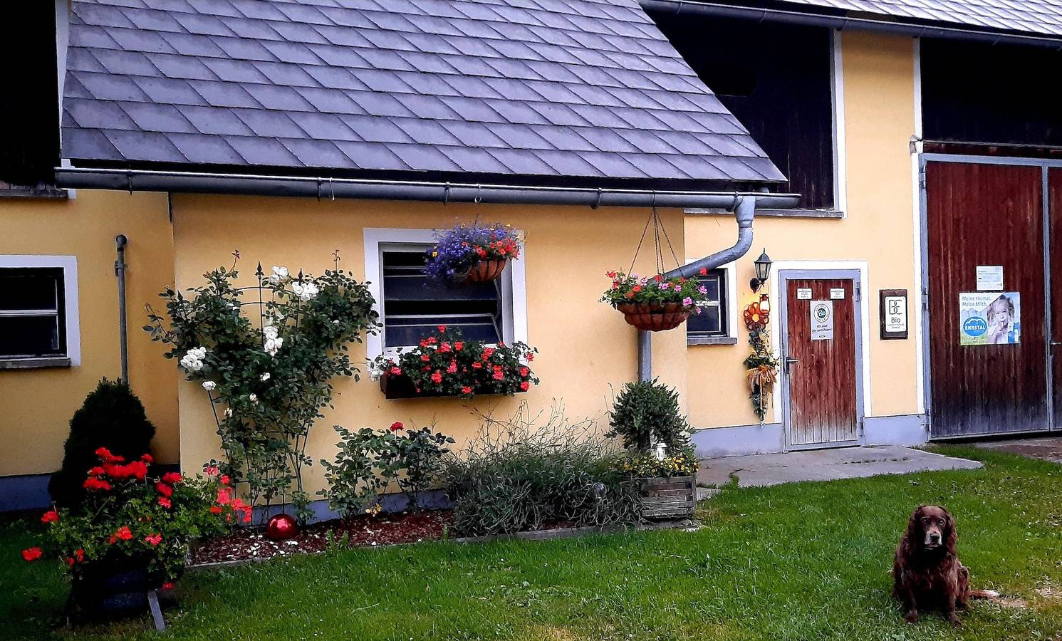 Geheel vakantieappartement, Bis 2 Nächte in Enns (rivier)