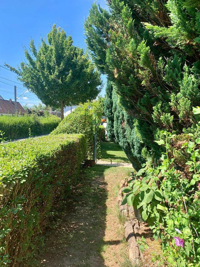 Ganze Wohnung, Lilo Luisa in Weinheim, Kurpfalz