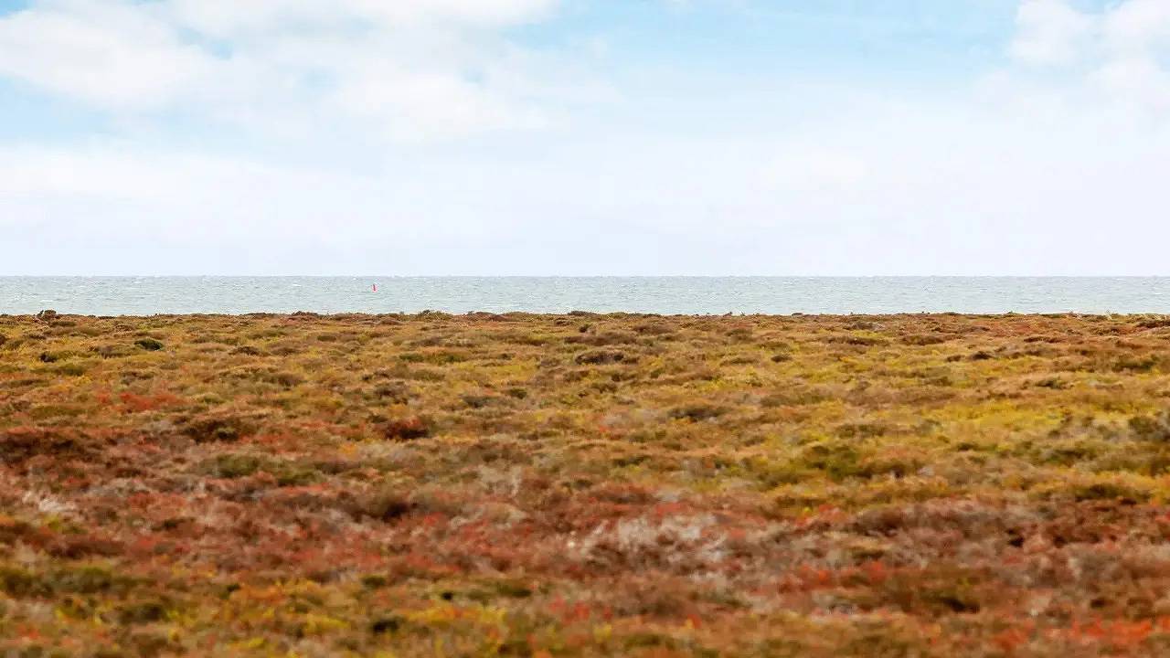 Ferienhaus für 6 Personen (89 m²) in Læsø in Østerby (Læsø), Læsø