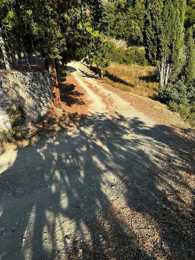 Ferienwohnung für 4 Personen, mit Ausblick und Garten sowie Pool auf Skopelos - 3
