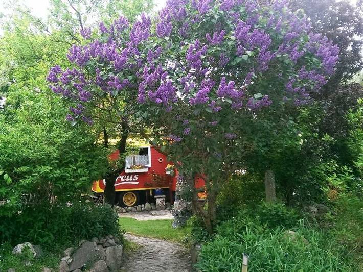 Bauernhaus für 5 Personen, mit Terrasse und Garten, kinderfreundlich an der Müritz - 4