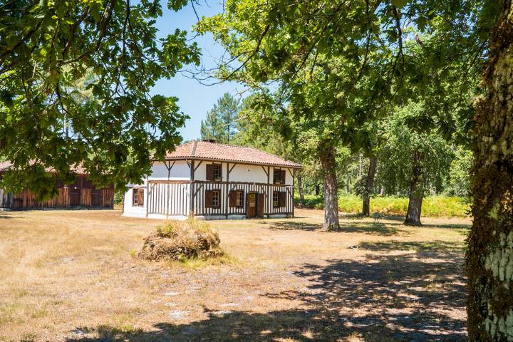 Gîte pour 3 personnes, avec jardin dans Sabres