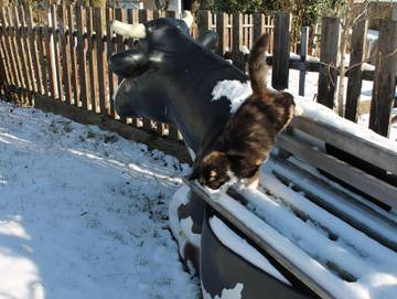 Bauernhof für 3 Personen in Steirerland, Oststeiermark, Bild 2