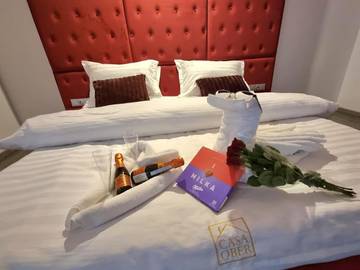 Chambre d’hôte pour 3 personnes, avec vue et jardin, animaux acceptés à Brașov