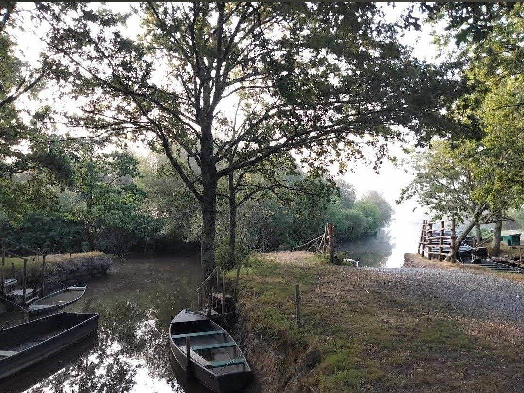 Chambres d'hôtes de charme La Roselière - Iris de Brière in Saint-Lyphard, Région de Saint-Nazaire