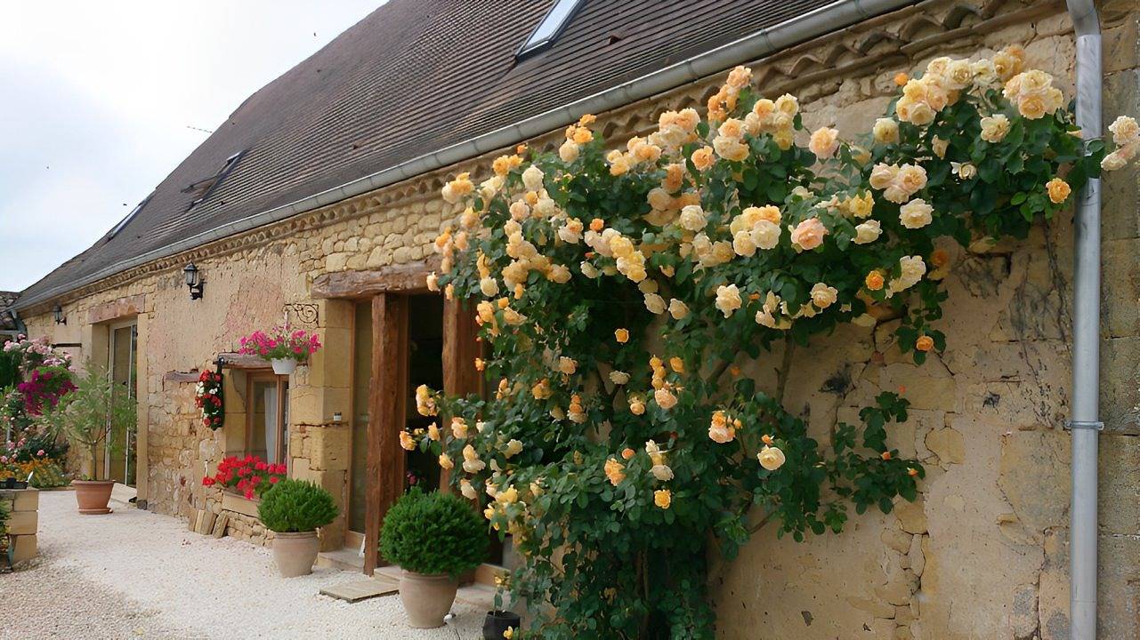 Chambre et table d'hôte avec spa à la Ferme de la Croix - Chambre Coquelicot in Saint-Avit-Sénieur, Périgord Pourpre