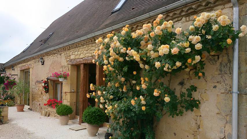 Chambre d’hôte pour 2 personnes, avec jardin et jacuzzi, animaux acceptés en Dordogne - 4
