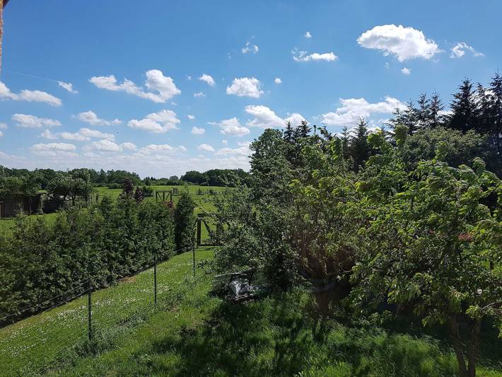 Ferienhaus für 3 Personen, mit Terrasse und Garten, kinderfreundlich in der Feldberger Seenlandschaft - 4