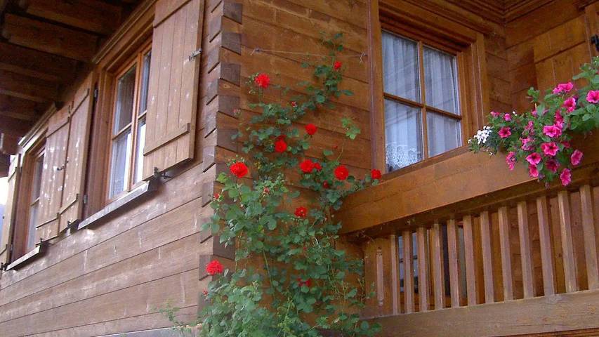 Gîte pour 4 personnes, avec jardin à Balderschwang - 2