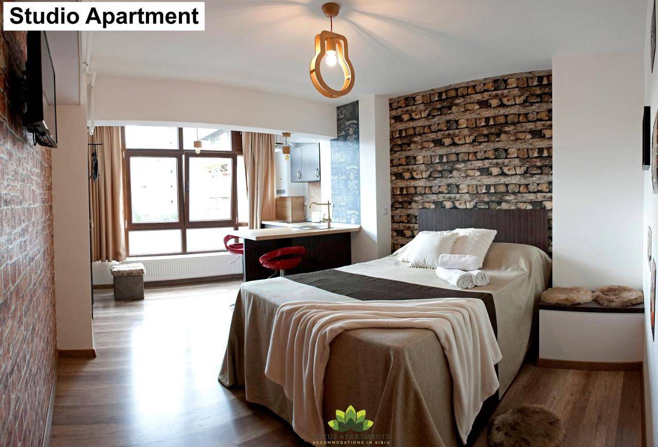 Ganze Wohnung, Superior Apartment with Sauna in Hermannstadt, Karpaten
