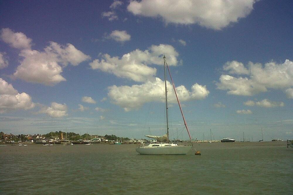Mersea Island Cottage by the beach and waterside. Some July weekends available in Mersea Island, Colchester