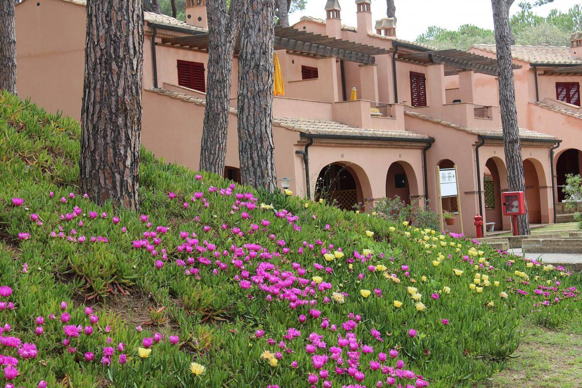 Monolocale intero, Residence I Tusci Studio 4p in Scarlino, Provincia di Grosseto