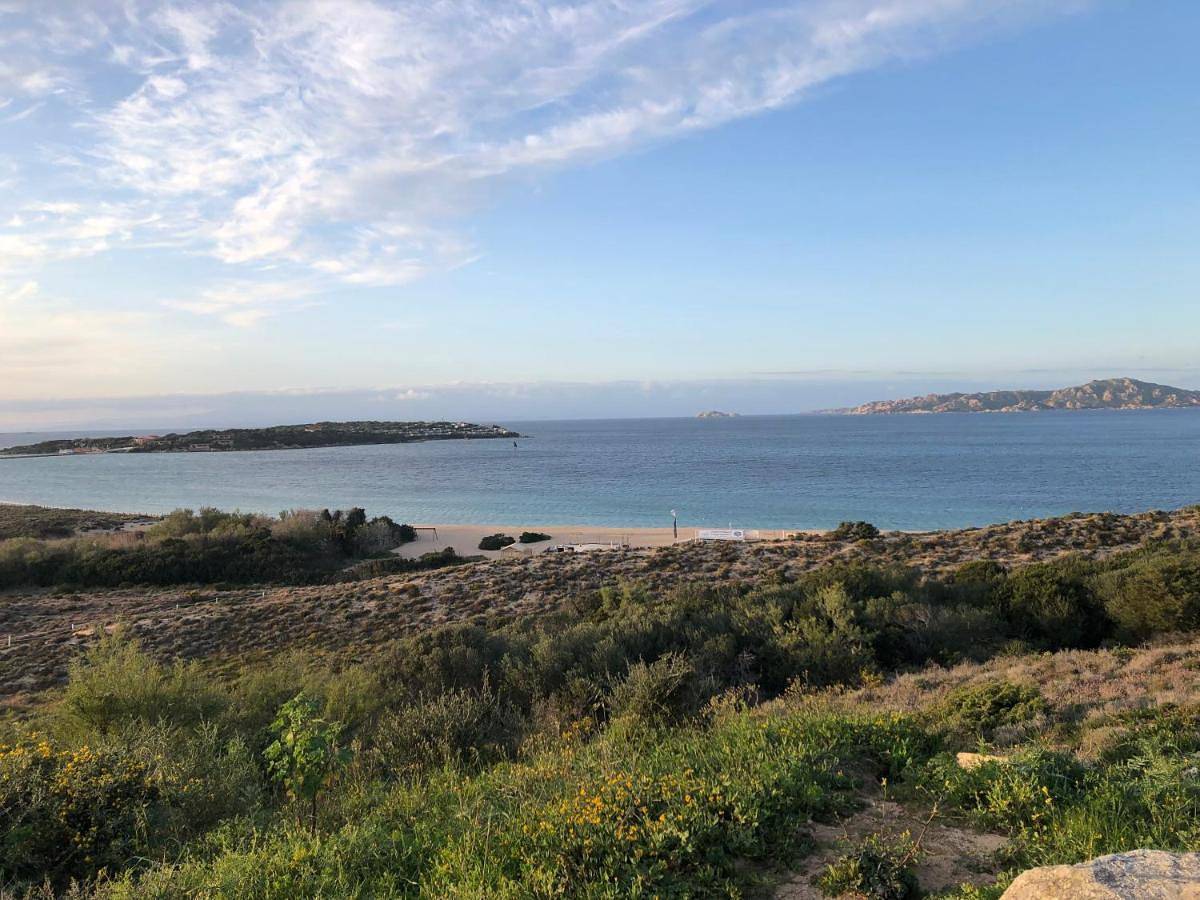 Appartement entier, Villetta a schiera 150 metri dalla spiaggia in Porto Puddu, Palau (Sardaigne)