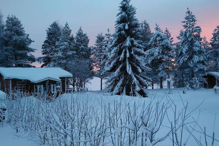 Chalet pour 4 personnes, avec jacuzzi ainsi que jardin et sauna en Finlande - 4