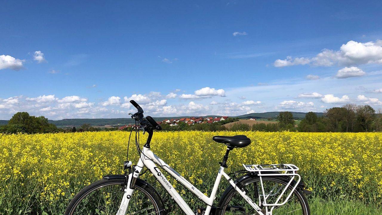 Ganze Ferienwohnung, Ferienwohnung für 3 Personen (89 m²) in Hameln in Hameln, Weserbergland