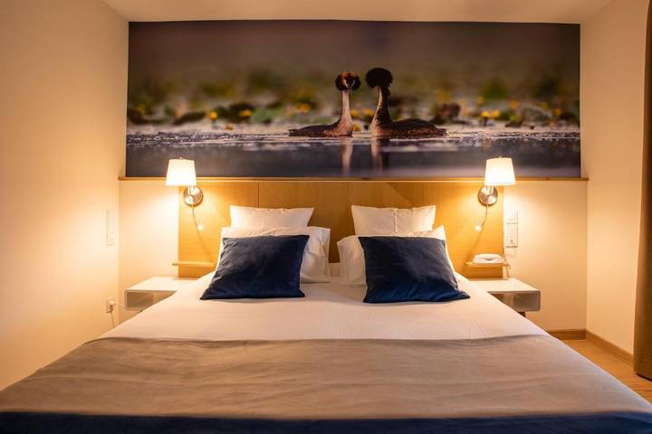 Hôtel pour 3 personnes, avec jardin et sauna, animaux acceptés à Lamotte-Beuvron - 2