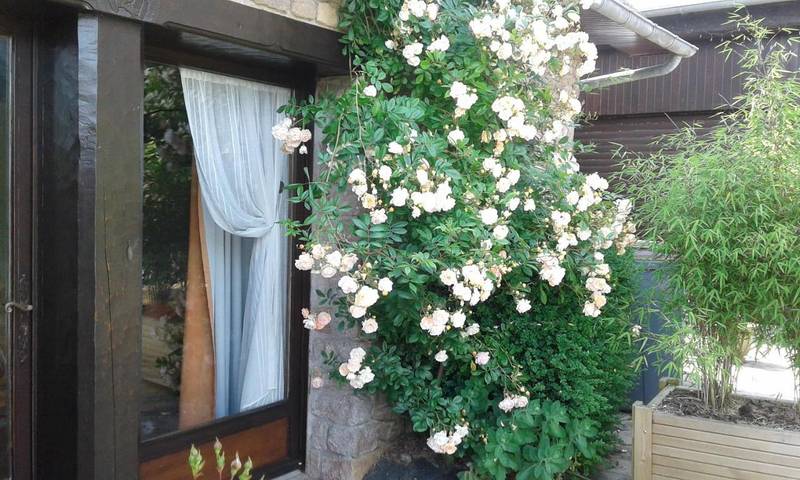Gîte pour 4 personnes, avec jardin à Pléhédel - 3