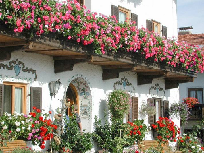 Bauernhaus für 3 Personen, mit Balkon und Balkon/Terrasse, kinderfreundlich am Chiemsee - 3