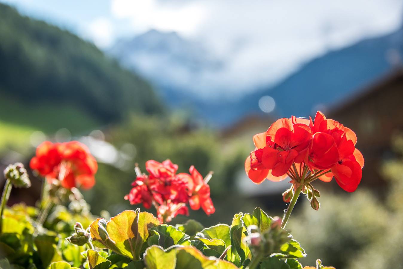 Appartement "Alpenblick Nr 5" met gedeelde tuin & Wi-Fi, foto 13
