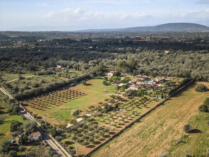 Cas Misser in Algaida, Interior de Mallorca