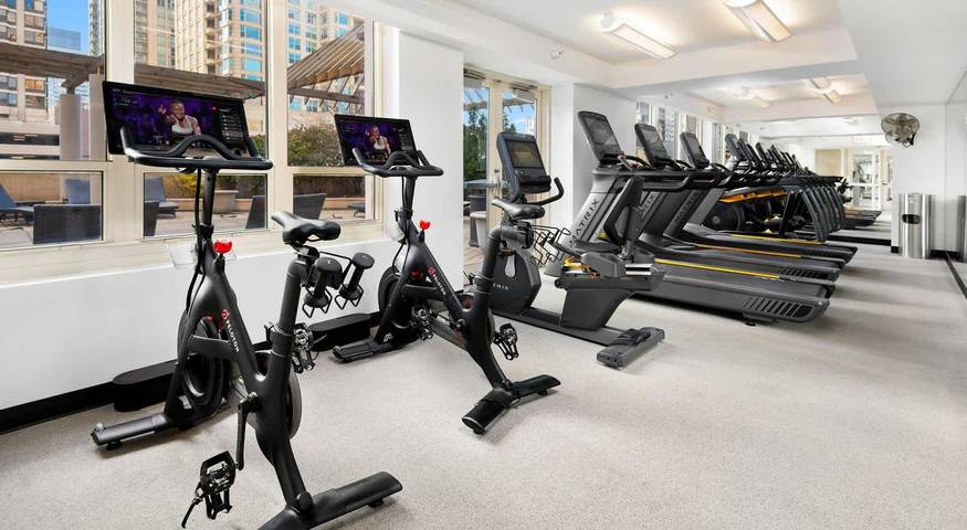 Gîte pour 14 personnes, avec vue sur le lac ainsi que balcon et jardin, adapté aux familles à Chicago - 4