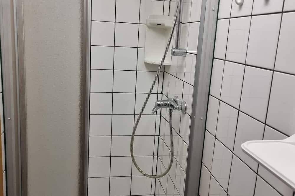 Ganze Wohnung, Elisabeth Rappold - 1 Schlafraum, Wohn/Schlafraum, Du/Wc in St. Lambrecht, Murau (Kreischberg)