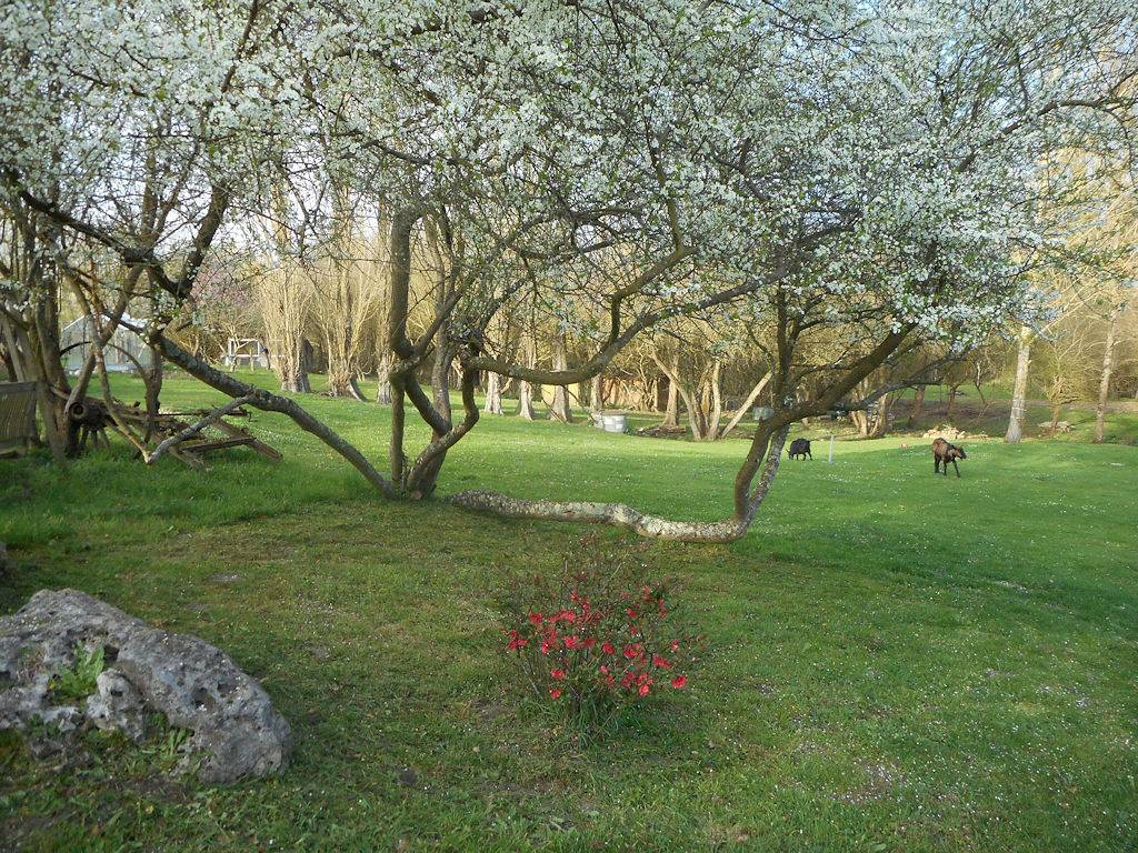 Gites en Sarthe avec piscine près du zoo de la Flèche in Savigné-sous-le-Lude, Vallée de la Loire