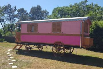 Chambre D’hôte pour 2 Personnes dans Bussac-Forêt, Région de Jonzac, Photo 4