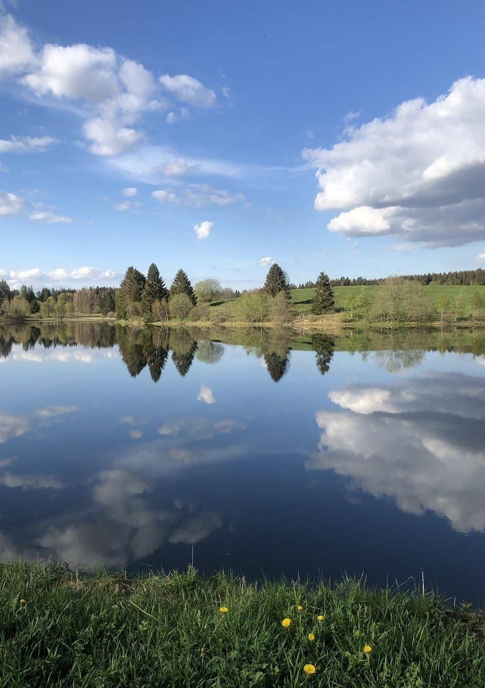Ganze Ferienwohnung, Ferienwohnung am Sumpfteich in Buntenbock, Clausthal-Zellerfeld