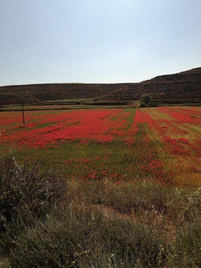 Apartamento de vacaciones para 2 personas, con terraza, Se admiten mascotas en Comunidad de Calatayud - 2
