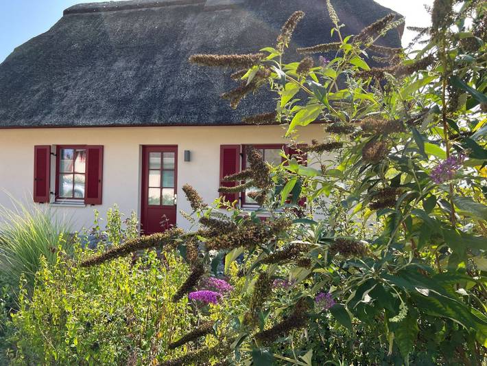 Ferienhaus für 3 Personen, mit Garten und Sauna sowie Terrasse in Zierow