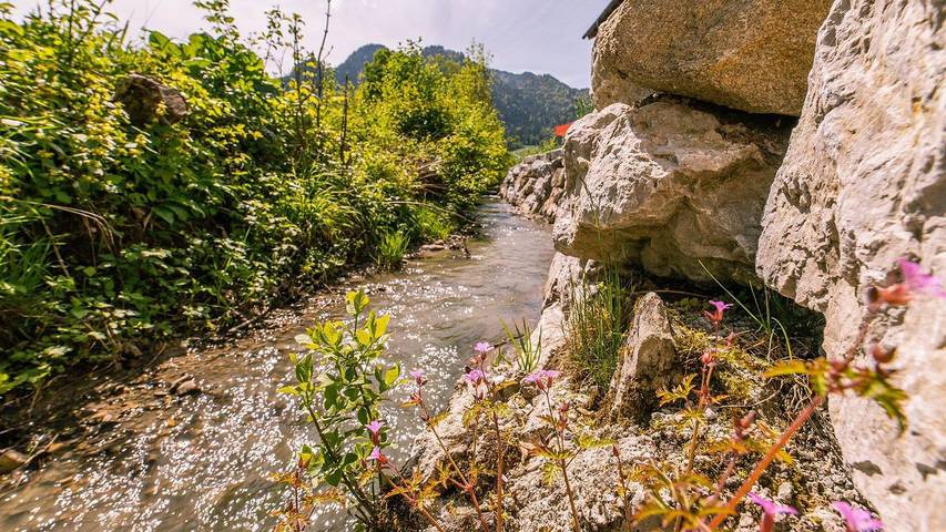 Hütte für 6 Personen, mit Balkon und Pool sowie Garten und Sauna in Lenggries - 4