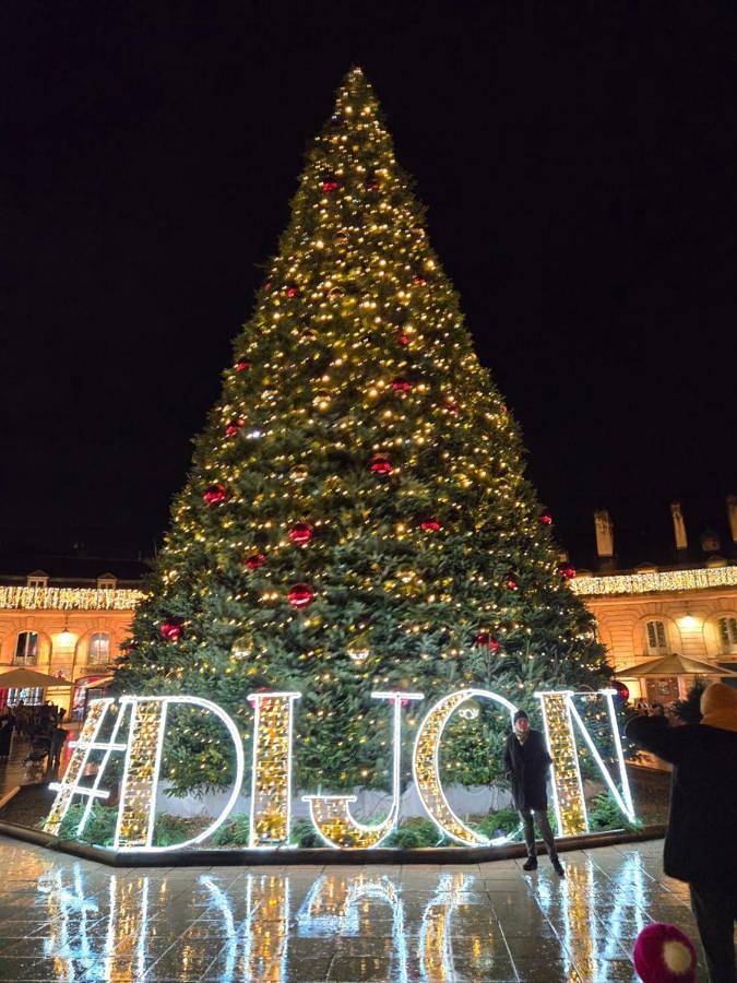 Chambre d’hôte pour 2 personnes, avec piscine et terrasse ainsi que jardin et vue à Dijon - 2