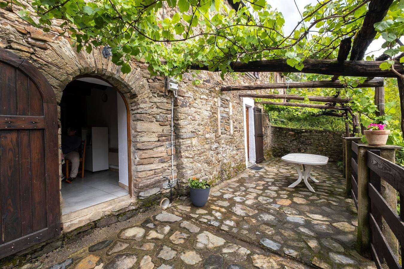 La Treille à La Teissonnière in Saint-Hilaire-de-Lavit, Parc national des Cévennes