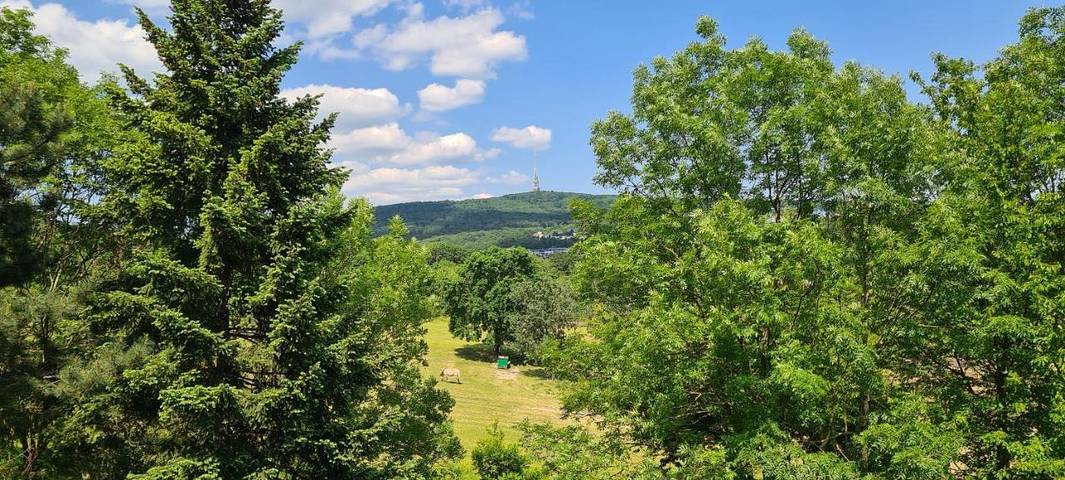 Ferienwohnung für 2 Personen, mit Balkon und Terrasse sowie Ausblick in Bratislava - 2