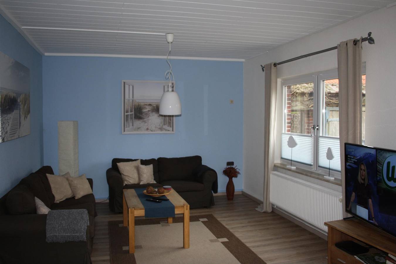 Austernfischer in Tossens, Butjadingen