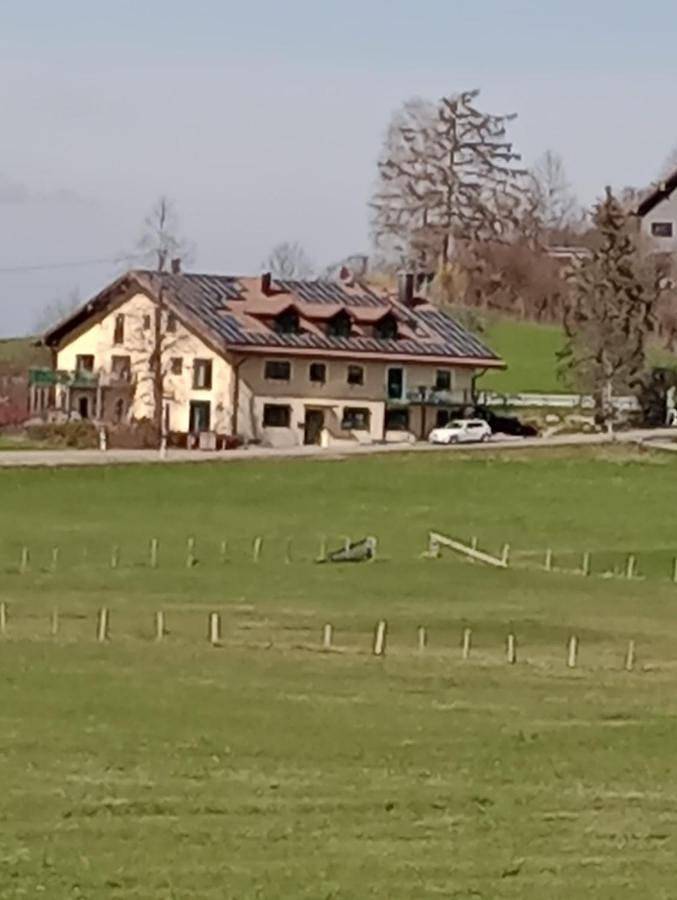 Ferienwohnung für 7 Personen, mit Terrasse und Garten sowie Ausblick in Sulzberg - 4