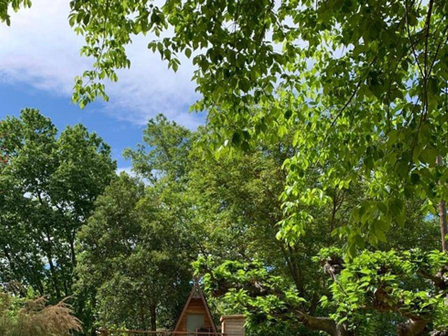 Camping Suze Luxe Nature - Chalet 2 personas - Cabane perchée source - sin ducha - con aseo y cocina in Suze-la-Rousse, Región de Nyons